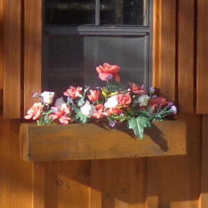 Window Box with flowers